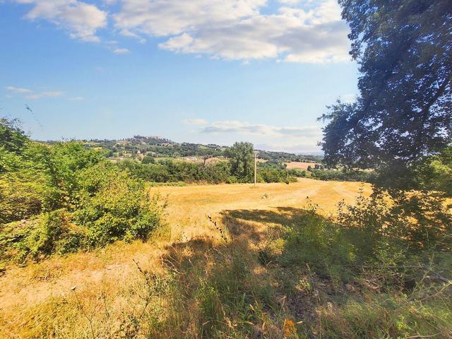 #23845 Terreno agricolo di mq  25220 in vendita - foto 10