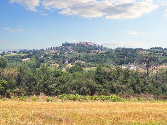 Agricoli in vendita