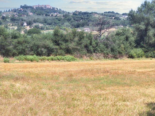 #23845 Terreno agricolo di mq  25220 in vendita - foto 12