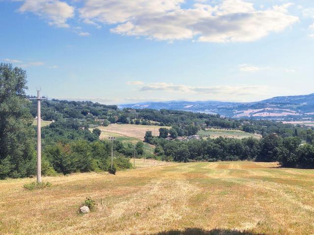 Agricoli in vendita