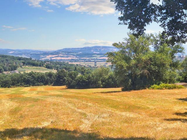 #23845 Terreno agricolo di mq  25220 in vendita - foto 11
