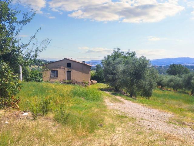 #23845 Terreno agricolo di mq  25220 in vendita - foto 7