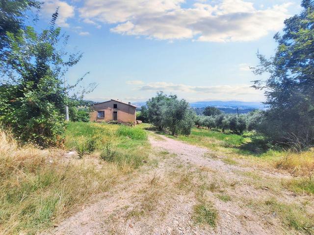 Agricoli in vendita