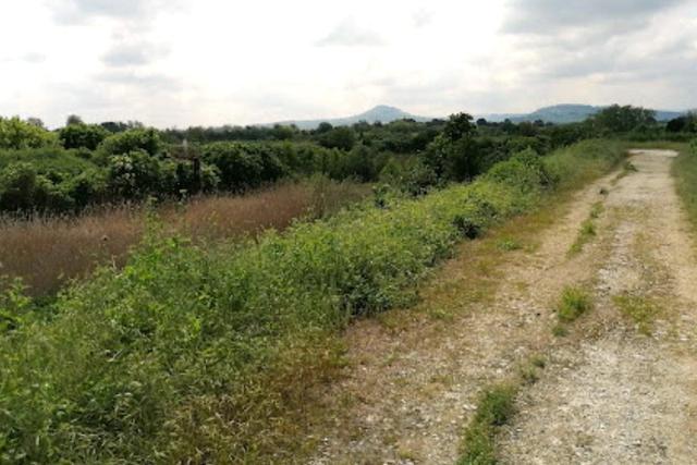 Agricoli in vendita