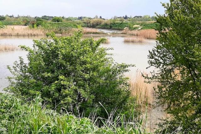 #22912 Terreno produttivo con vasche di lavaggio in vendita - foto 4