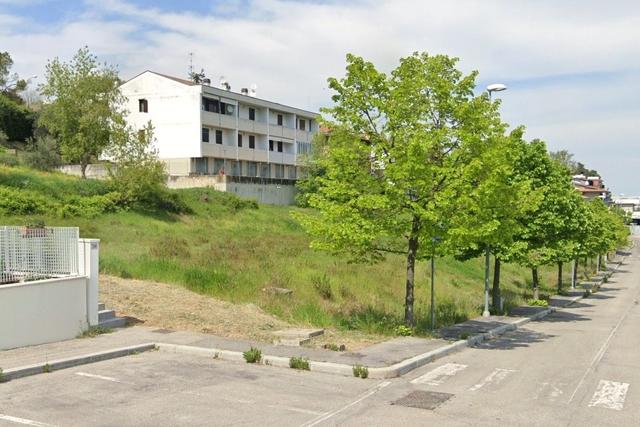 photogallery 2