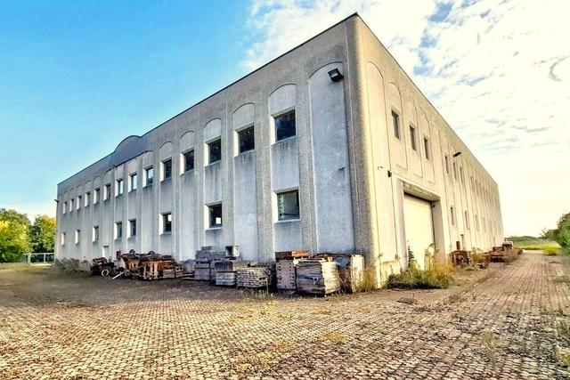 #2537306 Capannone per deposito e terreno esclusivo in vendita - foto 16