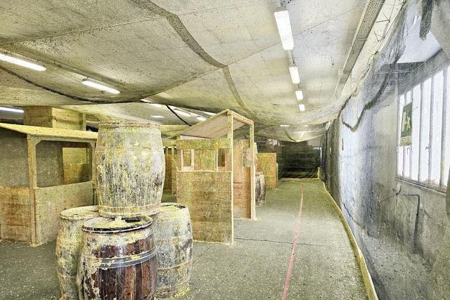 #24951 Porzione di capannone artigianale con corte in vendita - foto 6