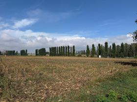 Agricoli in vendita