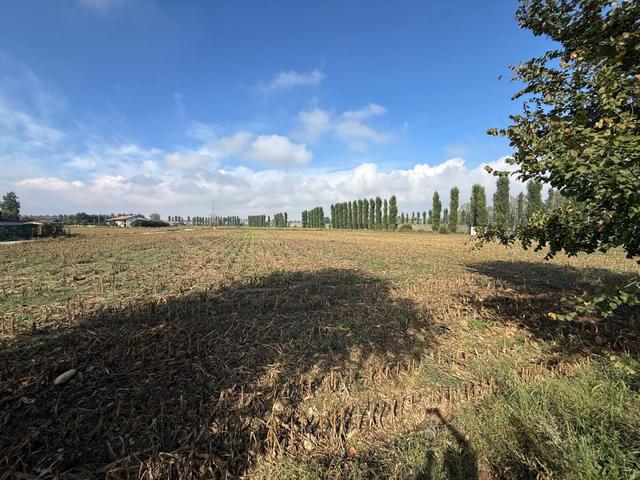 Agricoli in vendita