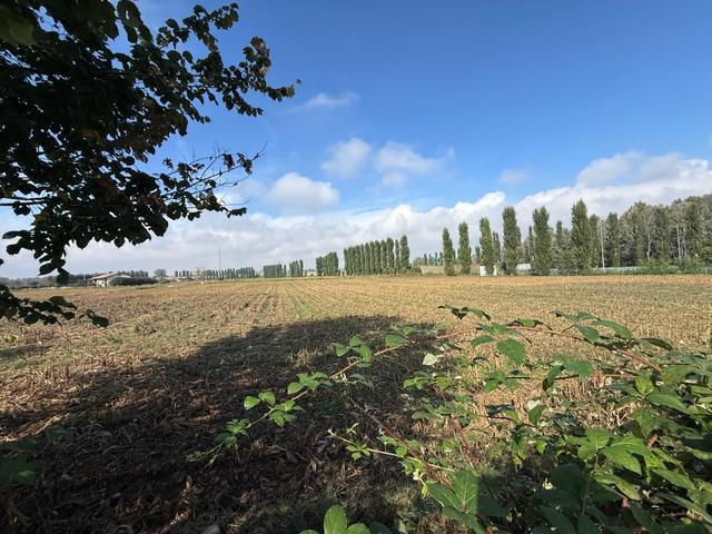 Agricoli in vendita