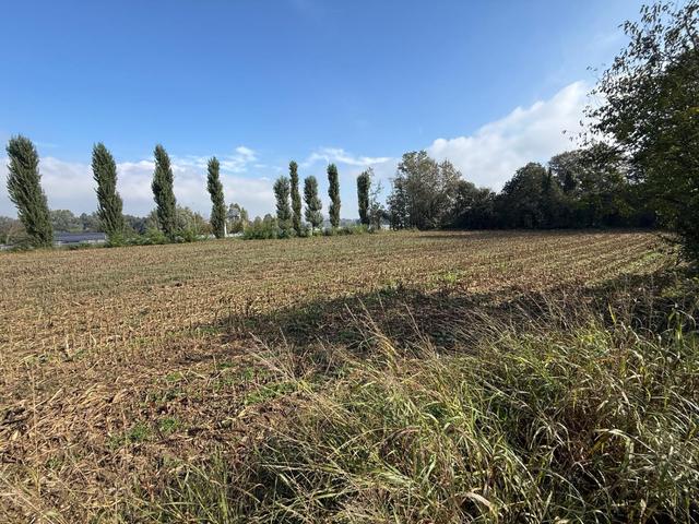Agricoli in vendita