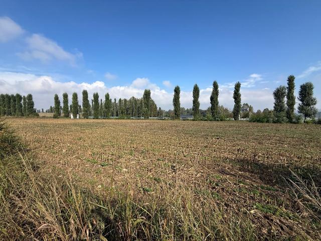 Agricoli in vendita