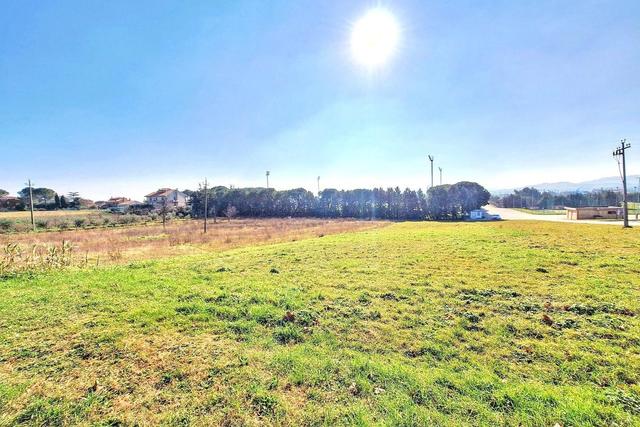 #25500 Terreno edificabile di 5.410 mq in vendita - foto 8