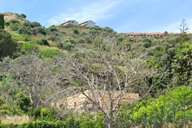 Agricoli in vendita