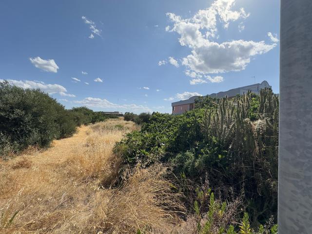 #2536907 Terreno edificabile produttivo di 2.379 mq in vendita - foto 6