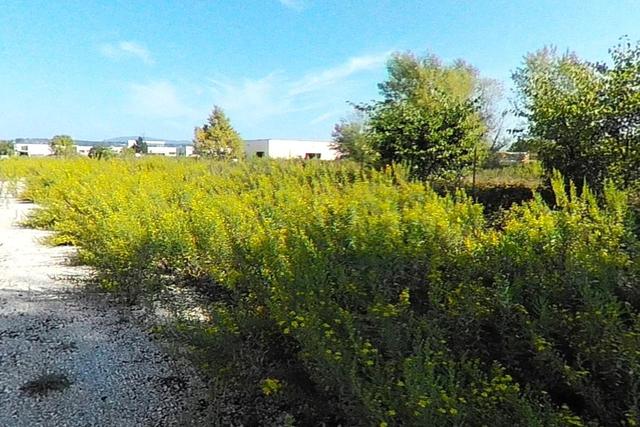 #24564 Appezzamento edificabile in zona produttiva in vendita - foto 8