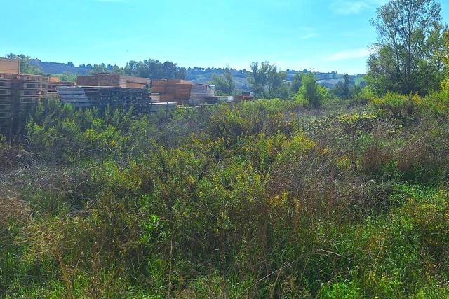 #24564 Appezzamento edificabile in zona produttiva in vendita - foto 9
