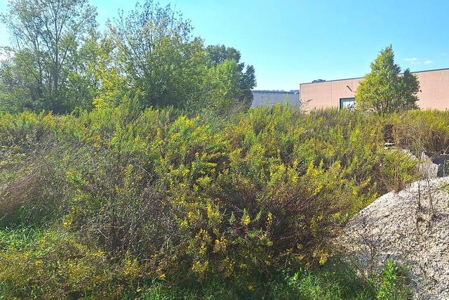 #24564 Appezzamento edificabile in zona produttiva in vendita - foto 12
