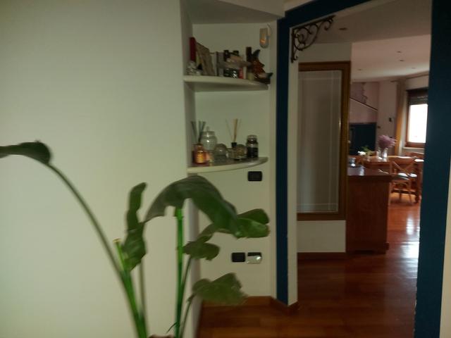 Appartamenti in vendita