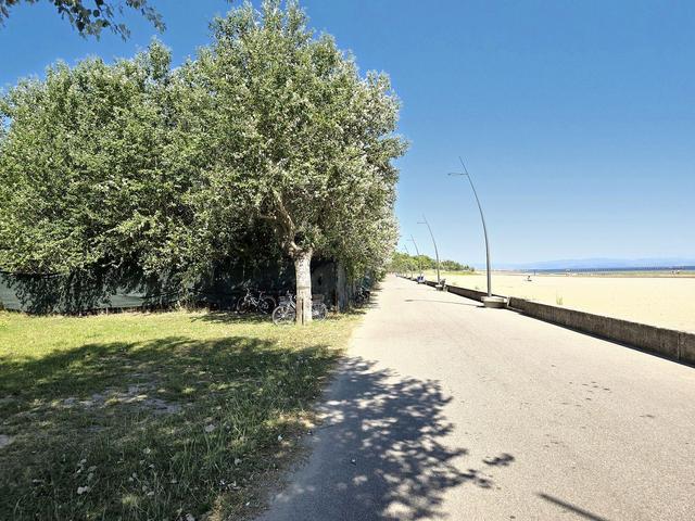 photogallery 22