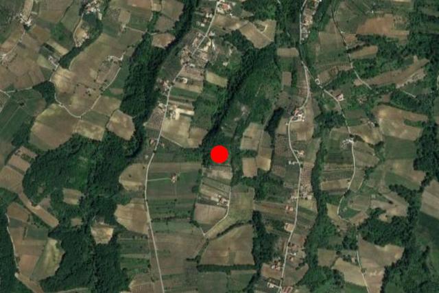 #24763 Terreno agricolo di 15.010 mq in vendita - foto 8