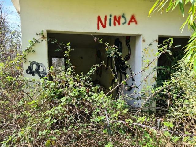 Indipendenti in vendita