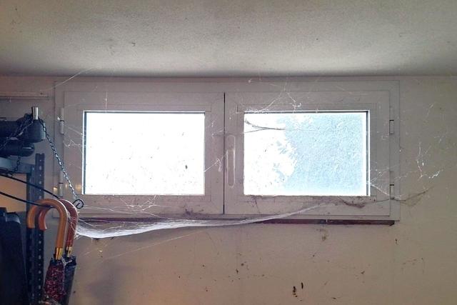 Appartamenti in vendita