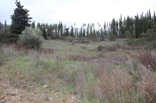 #3510 Porzione di lottizzazione “Borgo Lecchi” in vendita - foto 16