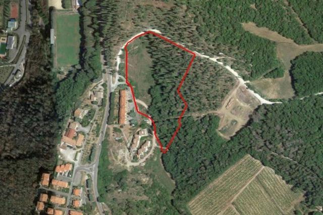 Edificabili in vendita