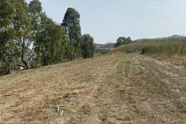 Agricoli in vendita