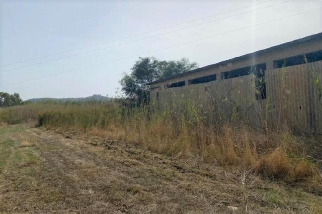 Agricoli in vendita