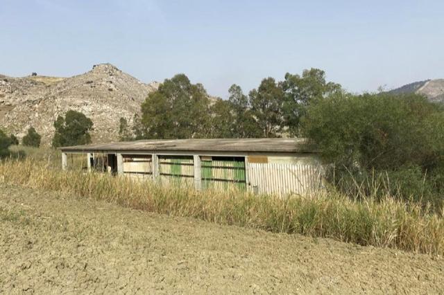 Agricoli in vendita