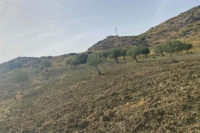 Agricoli in vendita