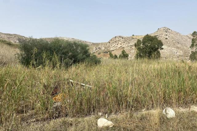 Agricoli in vendita