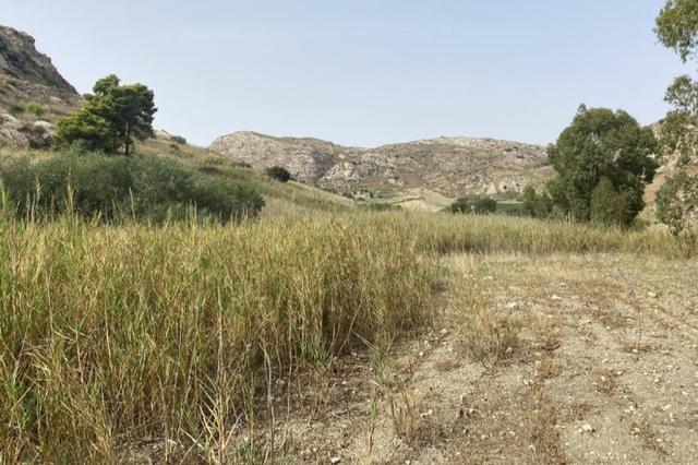 Agricoli in vendita