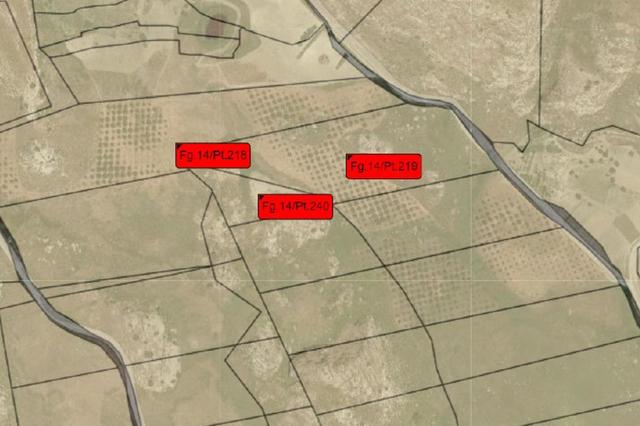 estratto-di-mappa-1