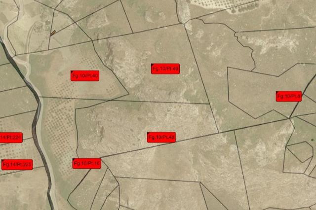 estratto-di-mappa-3