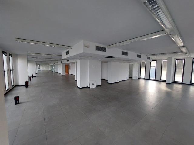 Grandi dimensioni in vendita