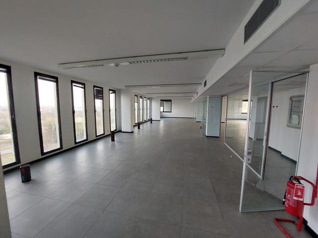 Grandi dimensioni in vendita