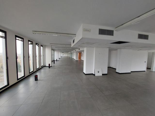 Grandi dimensioni in vendita