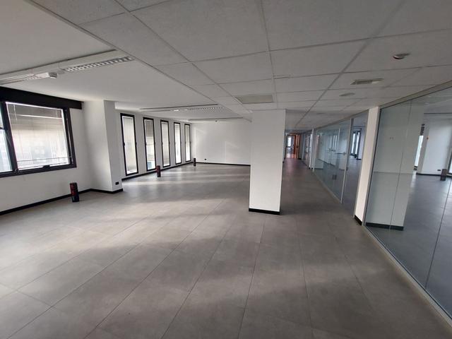 Grandi dimensioni in vendita