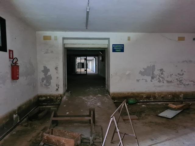 photogallery 3