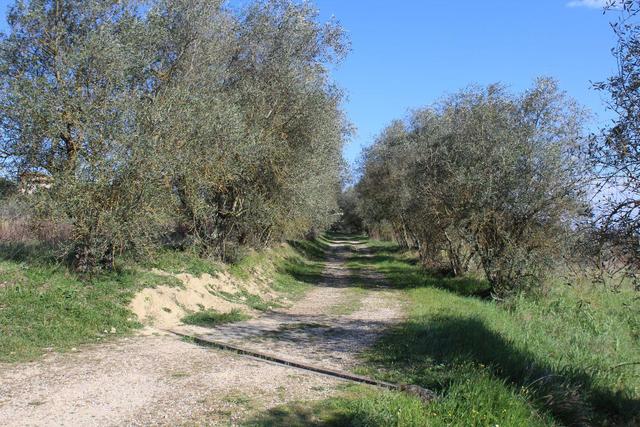Rustici e casali in vendita
