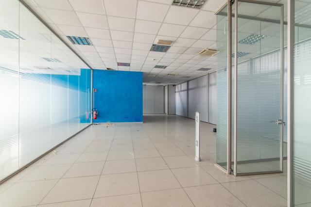 Grandi dimensioni in vendita