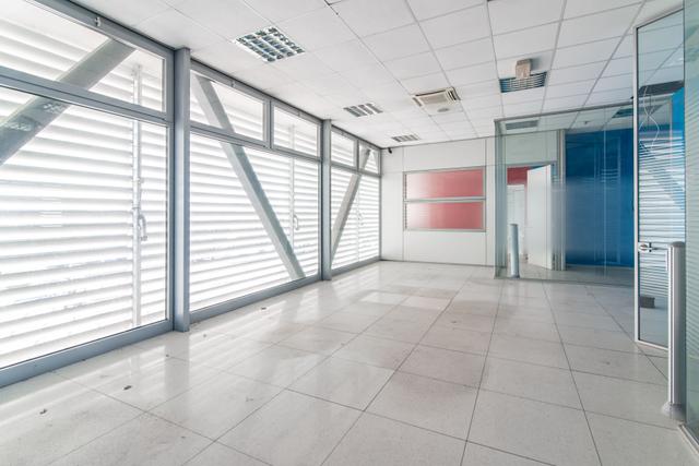 Grandi dimensioni in vendita