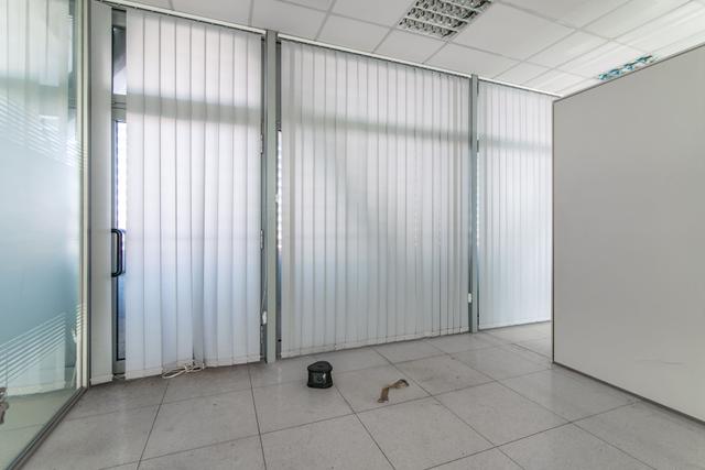 Grandi dimensioni in vendita