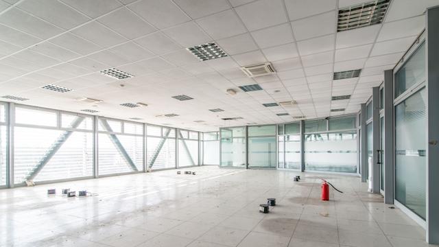 Grandi dimensioni in vendita