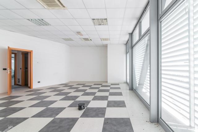 Grandi dimensioni in vendita