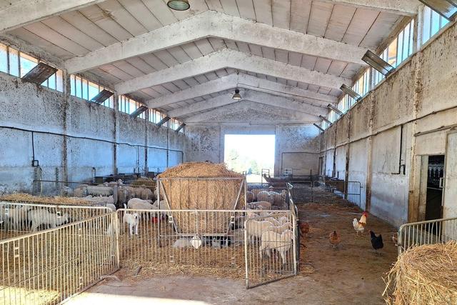 #25239 Stalla con rudere e terreni agricoli sparsi in vendita - foto 9